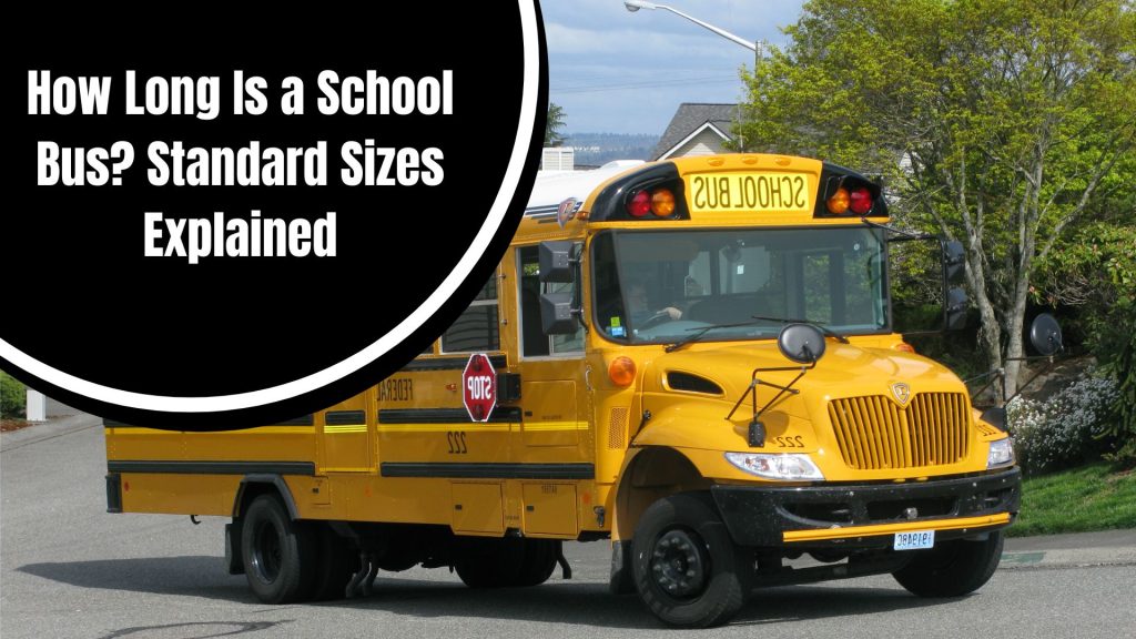 How Long Is a School Bus? Standard Sizes Explained